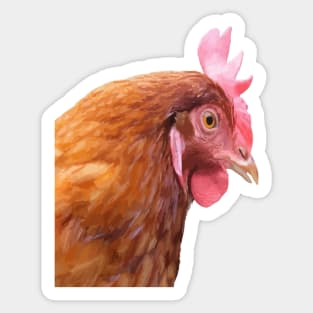 Funny Side View Of A Farmyard Hen Sticker